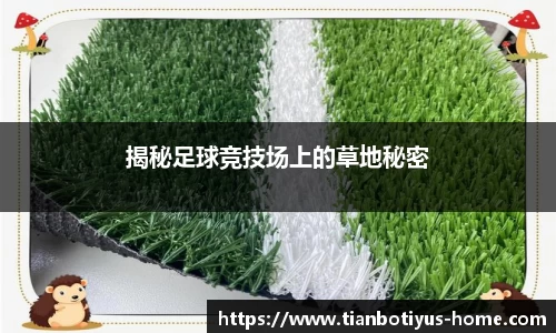 揭秘足球竞技场上的草地秘密